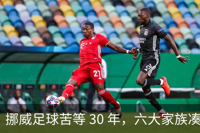 挪威足球苦等 30 年，六大家族凑世界杯主力，老国脚有啥绝招？